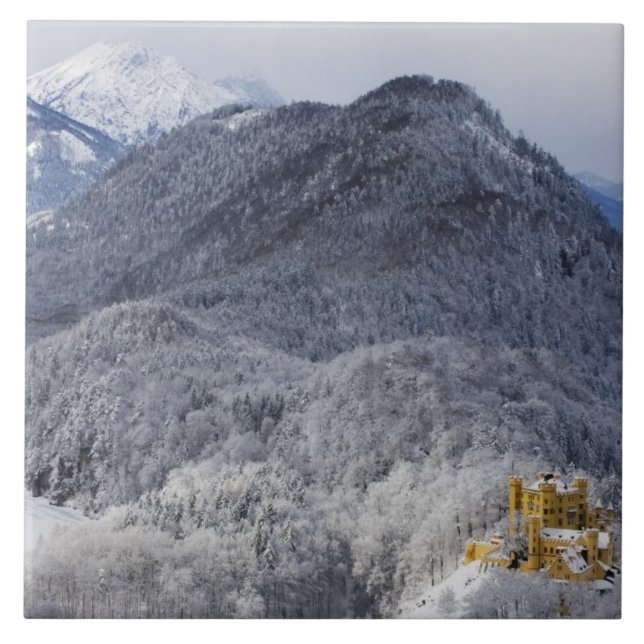 Schloss Hohenschwangau Kakelplatta (Framsidan)