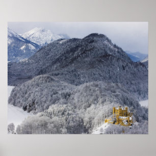 Schloss Hohenschwangau Poster