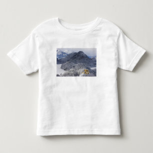 Schloss Hohenschwangau T-shirt