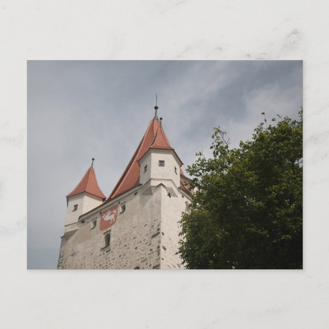 SCHLOSSTURM VON BURG HAAG IN OBERAYERN MIT BAUM VYKORT (Framsida)