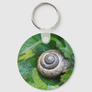 Schlüsselanhänger hübsche Schnecke Nyckelring