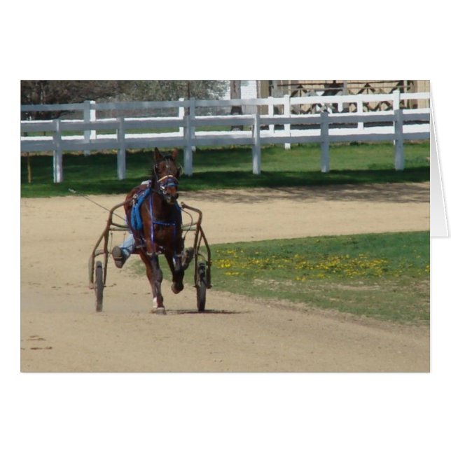 Schlyter Hälsningskort (Framsidan Horizontal)