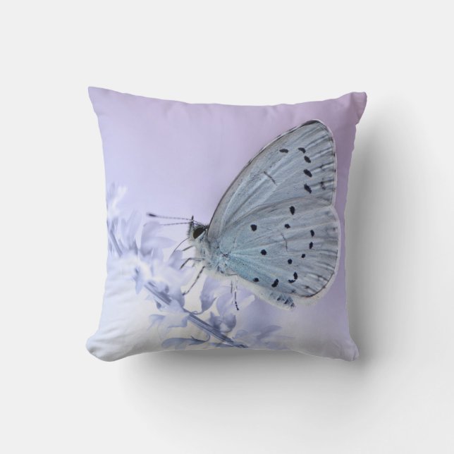 Schmetterling Kudde (Framsida)