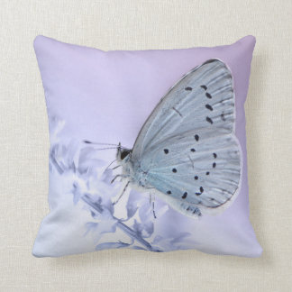 Schmetterling Kudde
