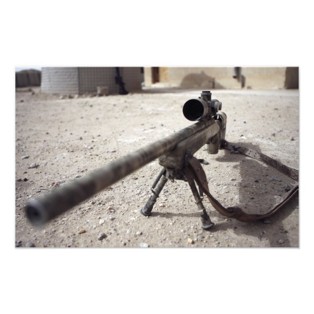 Schmidt & Bender M-854155 DS Fototryck (Framsidan)