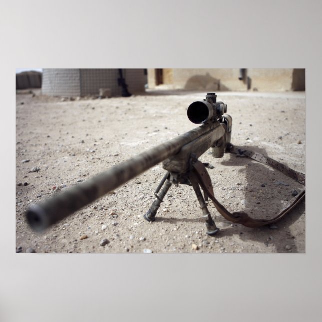 Schmidt & Bender M-854155 DS Poster (Framsidan)