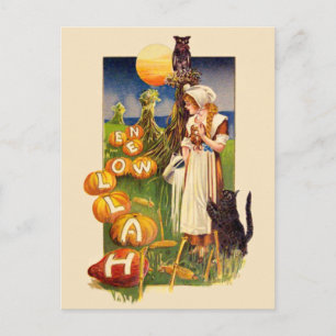 Schmucker: Halloween Fält Vykort