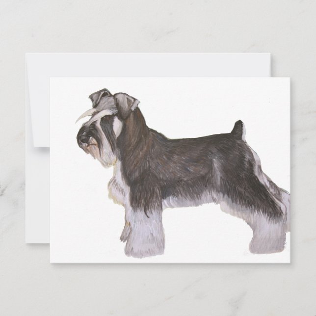 Schnauzer (Framsida)