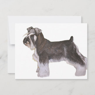 Schnauzer