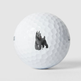 Schnauzer