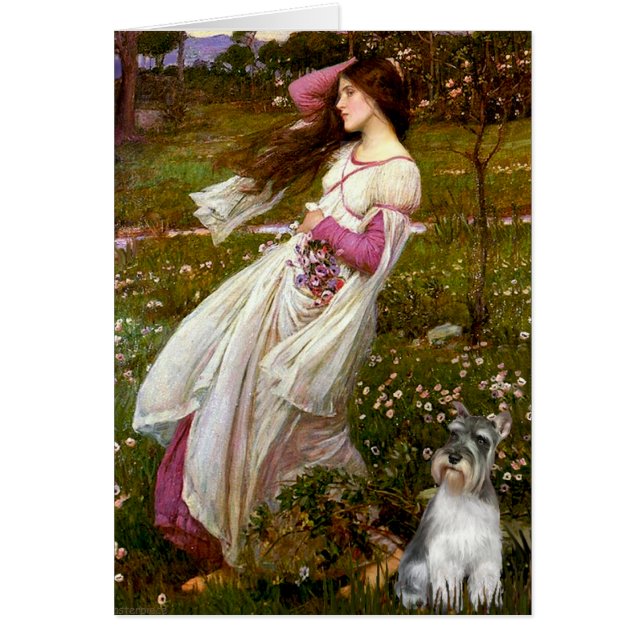 Schnauzer 11N - Vinblommor Hälsningskort (Framsidan)