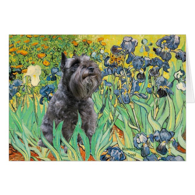 Schnauzer 12 - Irises Hälsningskort (Framsidan Horizontal)