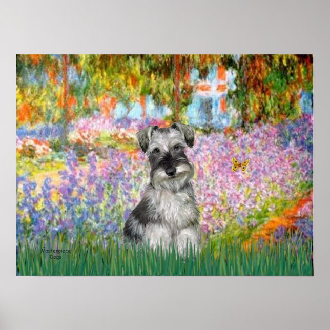 Schnauzer 1N - Trädgård Poster (Framsidan)