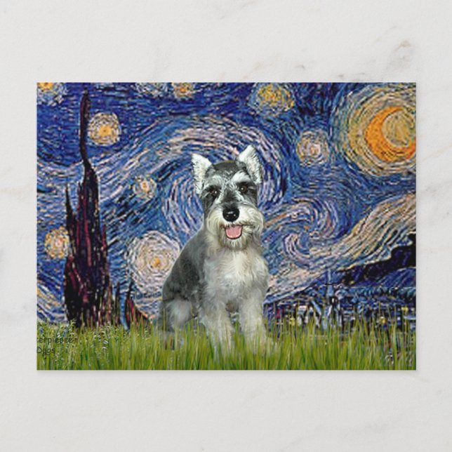 Schnauzer 8cr - Stjärnkväll Vykort (Framsida)