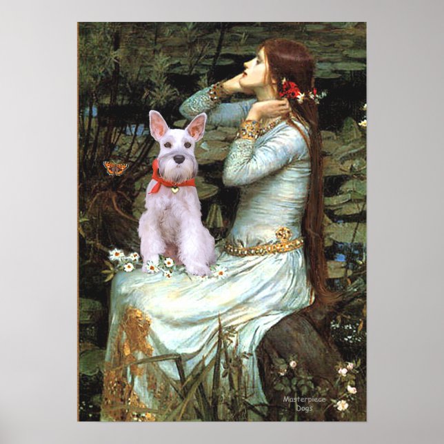 Schnauzer 9 - Ophelia sittande Poster (Framsidan)