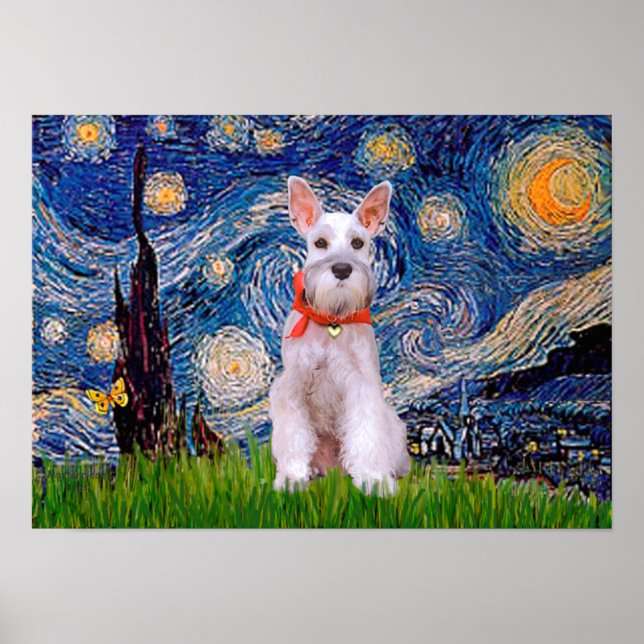 Schnauzer 9 - Starry Night Poster (Framsidan)