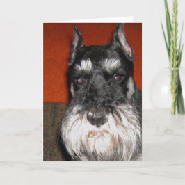 Schnauzer-anteckningskort Kort