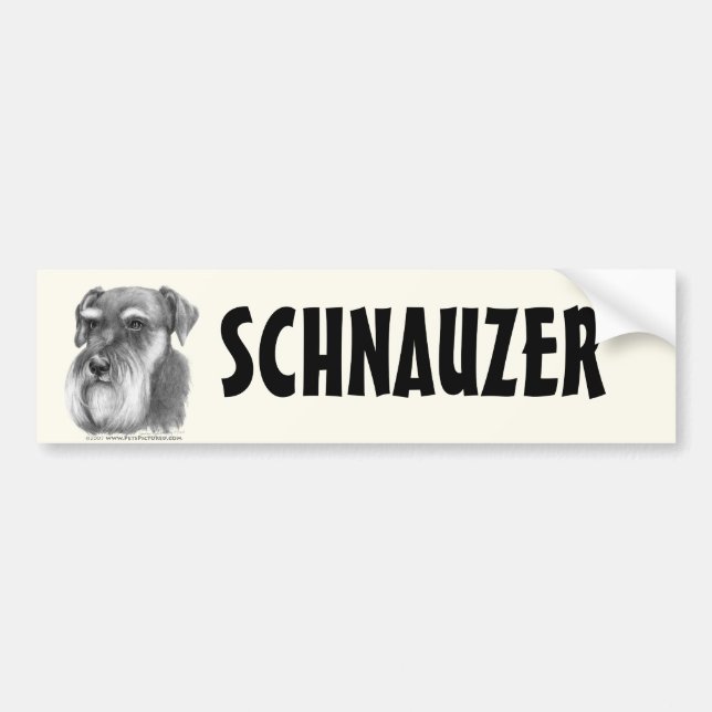 Schnauzer Bildekal (Framsidan)