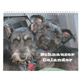 Schnauzer Calander Kalender