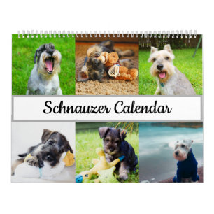 Schnauzer Calendar 2022 Kalender