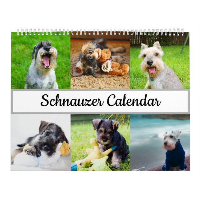 Schnauzer Calendar Kalender (Omslag)