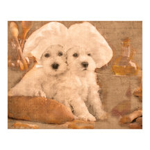 Schnauzer Chefs Kitchen Skriv ut