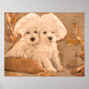 Schnauzer Chefs Kitchen Skriv ut Poster