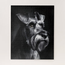 Schnauzer enfärgad porträtt