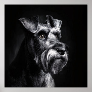 Schnauzer enfärgsporträtt poster