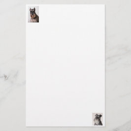 Schnauzer Felt Papprare stationär