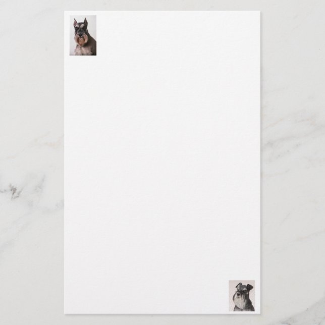 Schnauzer Felt Papprare stationär (Framsida)