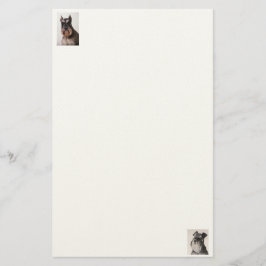 Schnauzer Felt Papprare stationär