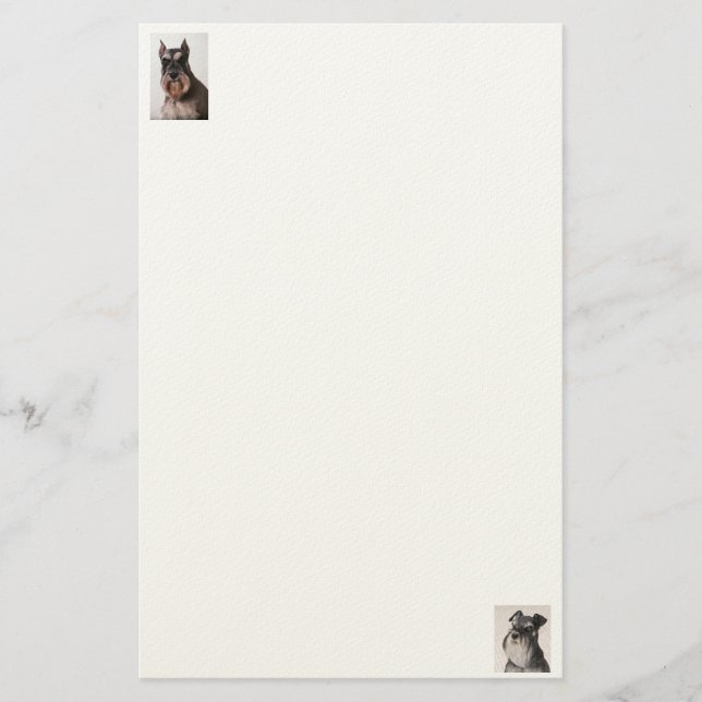 Schnauzer Felt Papprare stationär (Framsida)