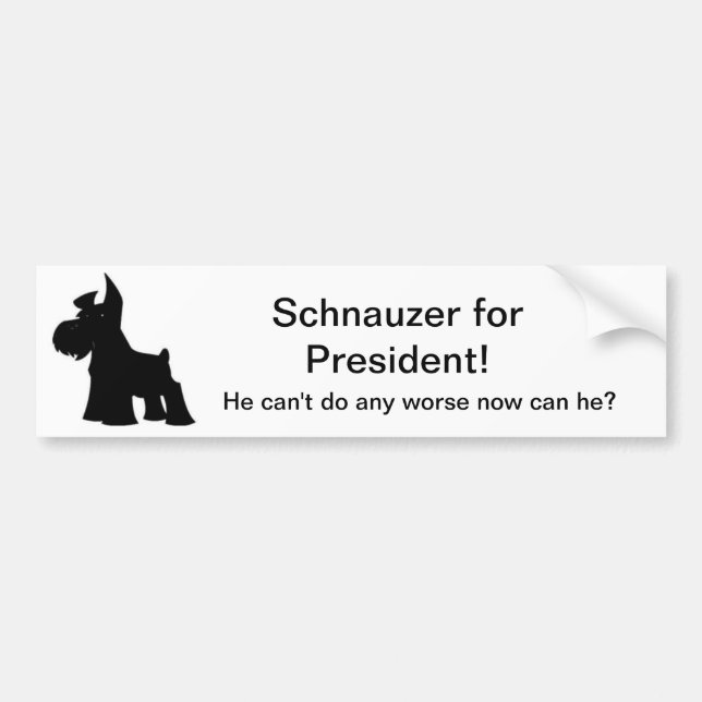 Schnauzer för president bildekal (Framsidan)