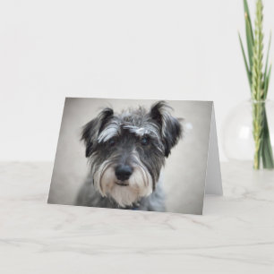 Schnauzer-hälsningskort för Hund Kort