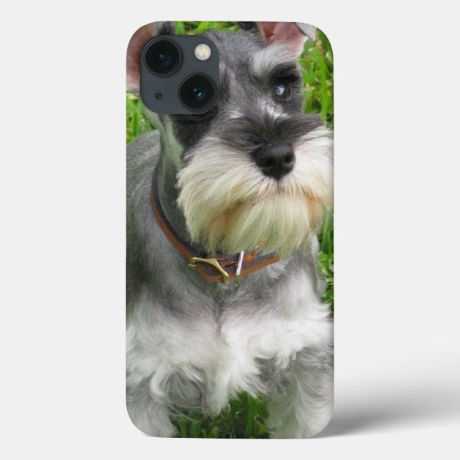 Schnauzer Hund (Baksida)