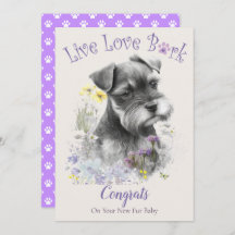 Schnauzer Hund Adoption, Gotcha Day