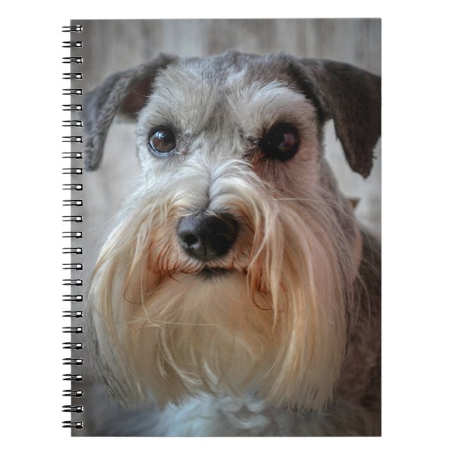 Schnauzer Hund ansikte Anteckningsbok (Framsidan)