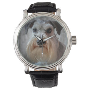 Schnauzer Hund ansikte Armbandsur