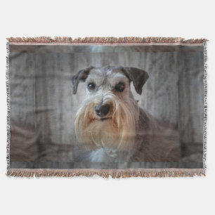 Schnauzer Hund ansikte Filt