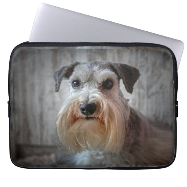 Schnauzer Hund ansikte Laptop Fodral (Framsidan)