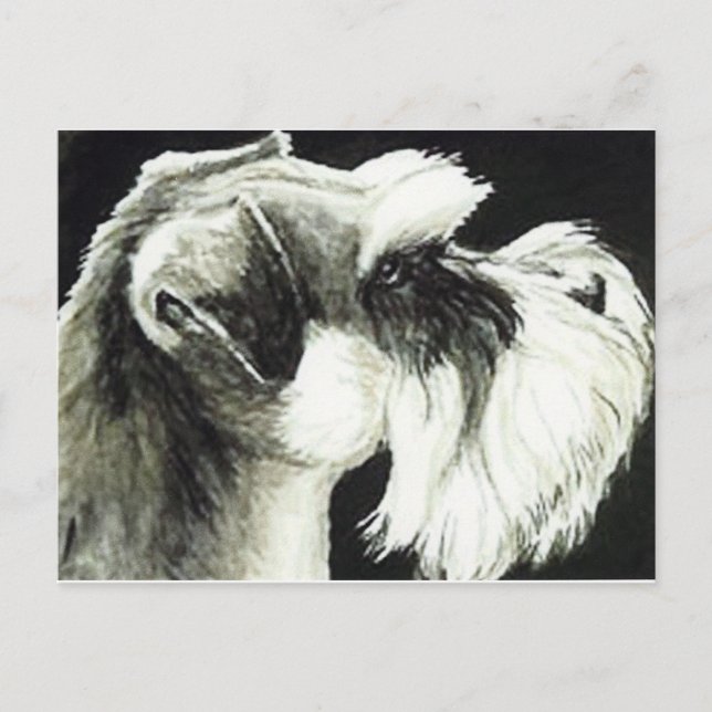 "Schnauzer" Hund Art-vykort Vykort (Framsida)