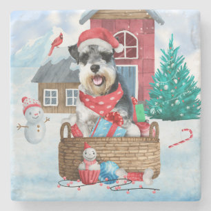 Schnauzer Hund I snö julhuset Hund Stenunderlägg