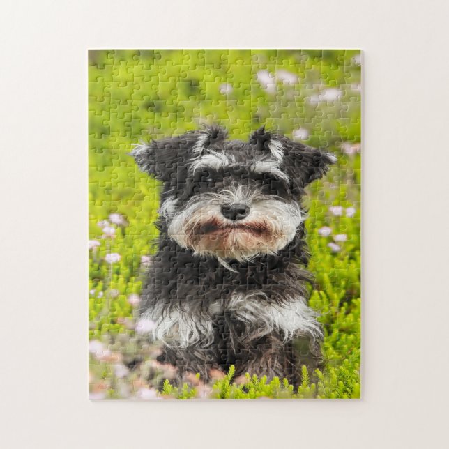 Schnauzer Hund Jigsaws. Pussel (Vertikal)