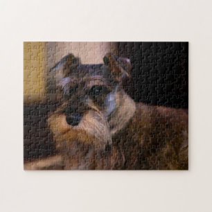 Schnauzer Hund Jigsaws. Pussel