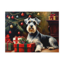 Schnauzer Hund jul