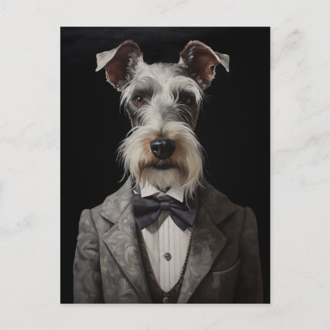 Schnauzer Hund Porträtt Grått Kostym Bow Tie Vykort (Framsida)
