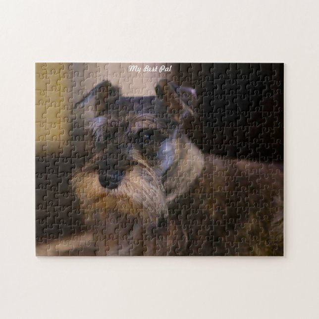 Schnauzer Hund Pussel. Pussel (Horisontell)