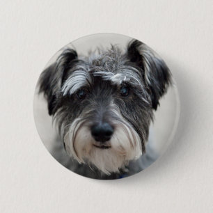 Schnauzer Hund Round Pin Knapp