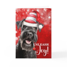 Schnauzer Hund Släpp Loss Glädjen Jul